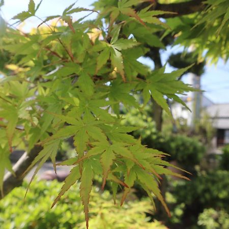 Willa 立花荘 Matsuyama  Zewnętrze zdjęcie